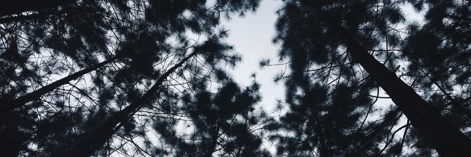 patmedallaa's profile banner image