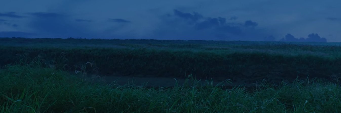 devinanugrah's profile banner image
