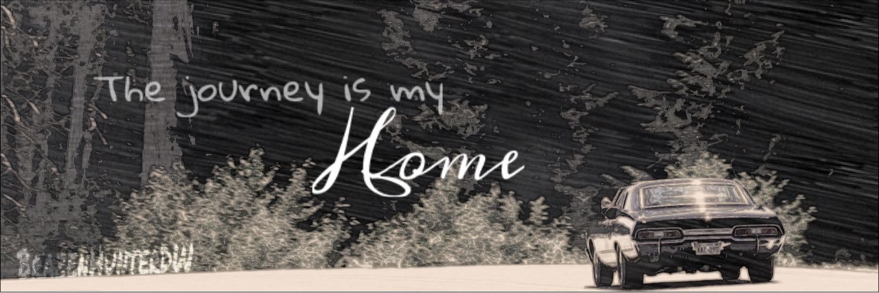 BrazenHunterDW's profile banner image