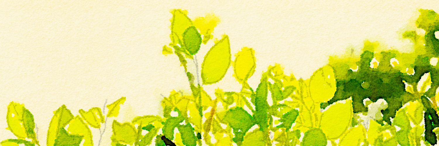 kasumii's profile banner image