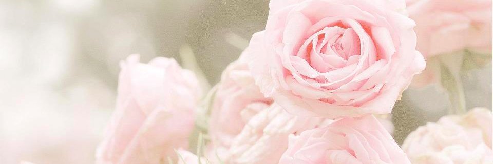Nc021's profile banner image