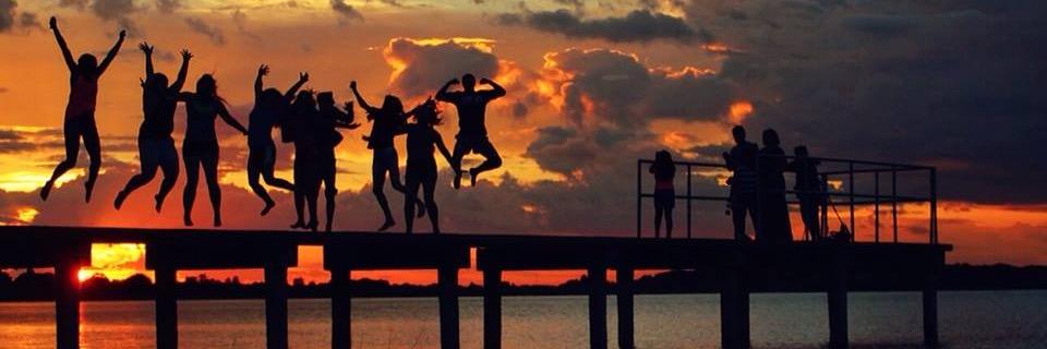 The OG Rachel 🐬 banner