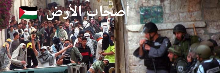 WMaatouk's profile banner image