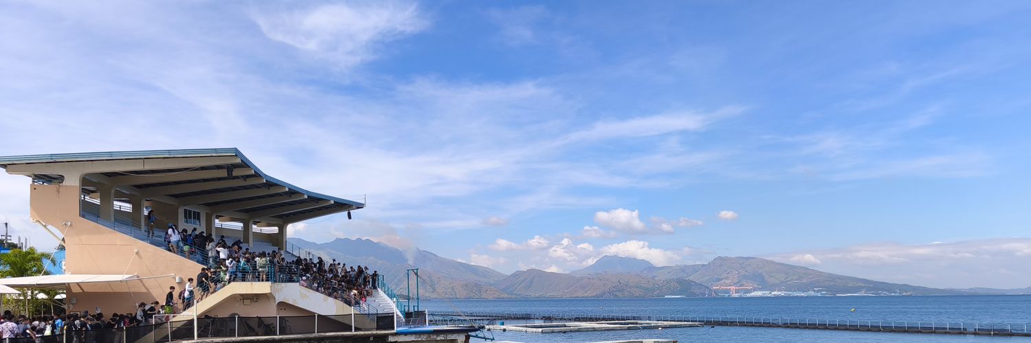 hayden cruise 🍦 banner