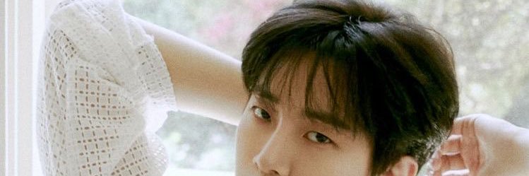 n; banner