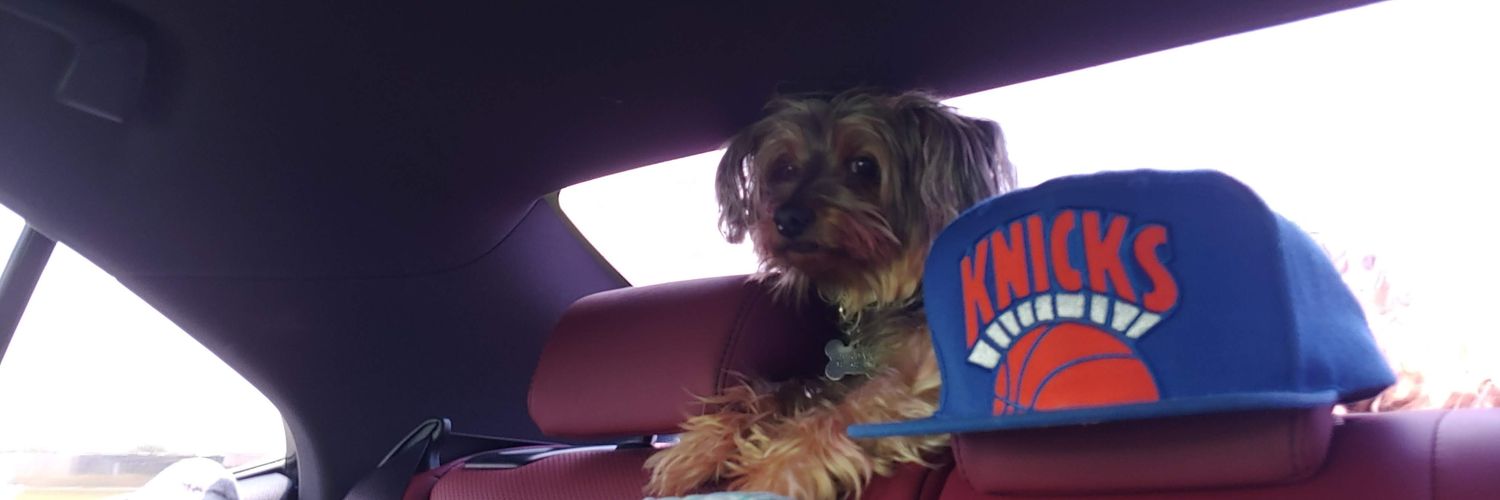 Nate_Does's profile banner image