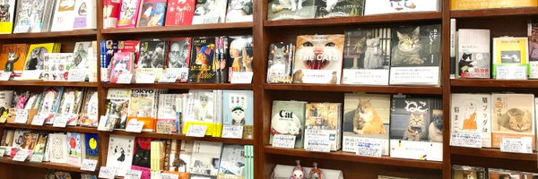 anealoha65 Profile Banner