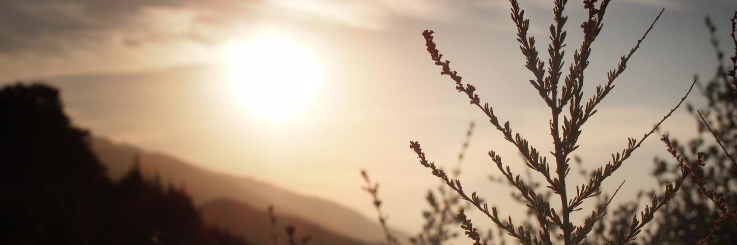 faste's profile banner image