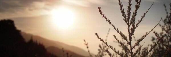 faste Profile Banner