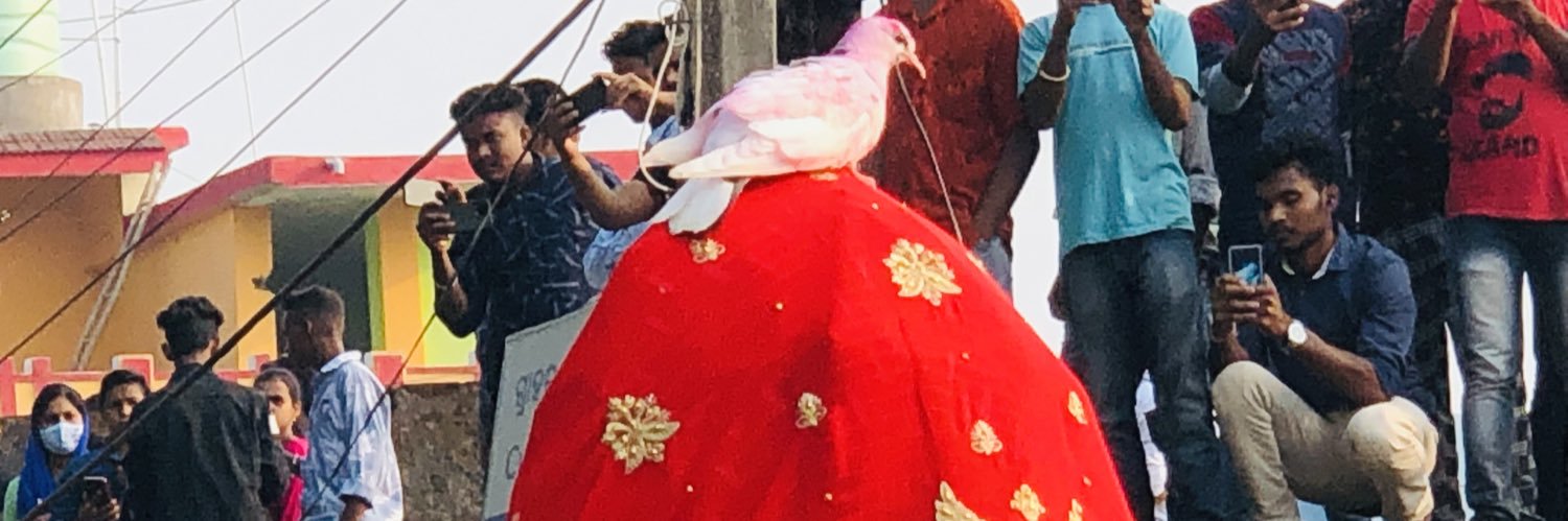 chittabishi's profile banner image