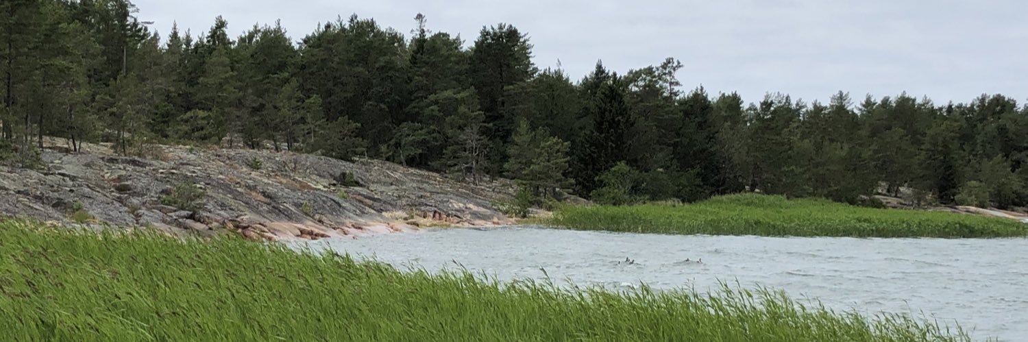 Stefan Flöjt banner