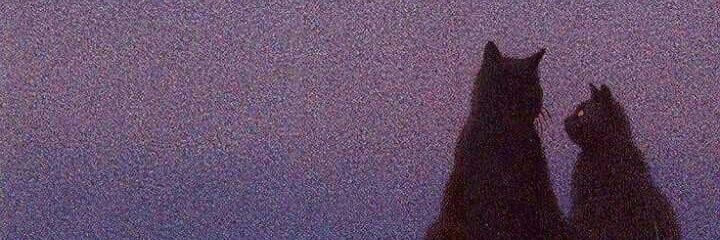 Ardeeeeeeeeeeee's profile banner image