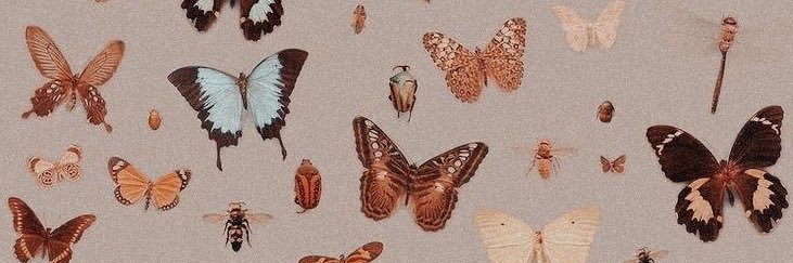 badgirleeleee's profile banner image