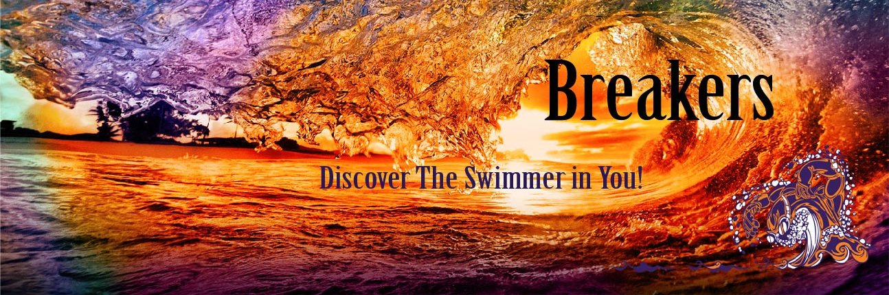 brevardbreakers's profile banner image