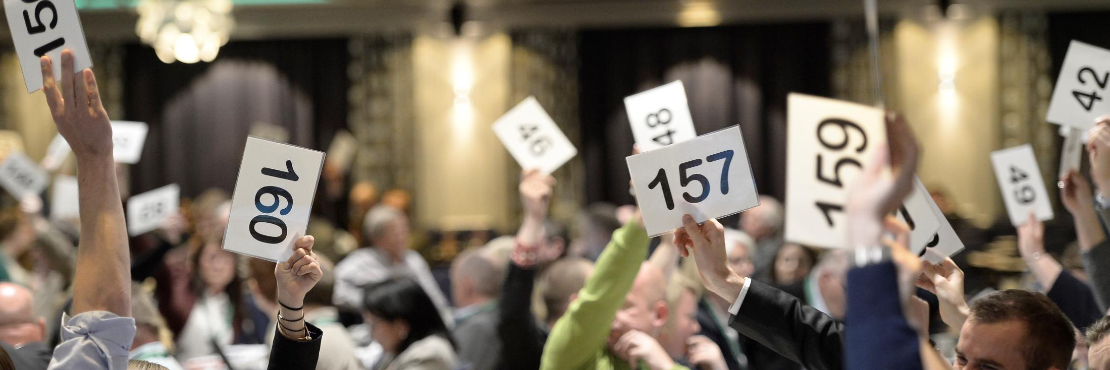 Senterpartiet banner