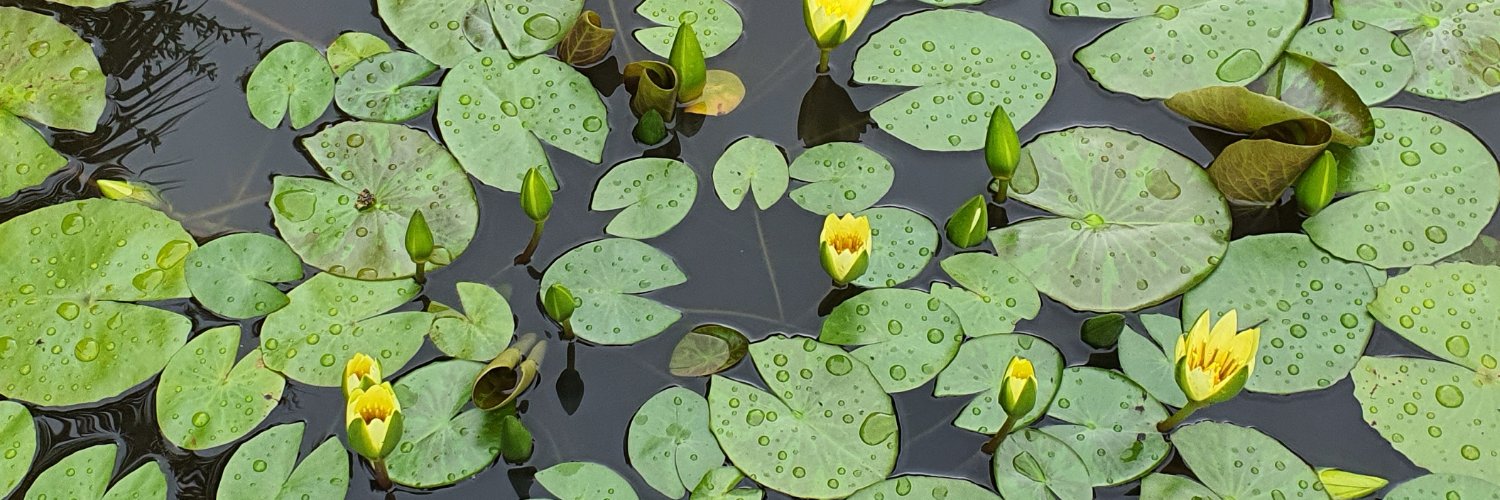 AntheaGarman's profile banner image