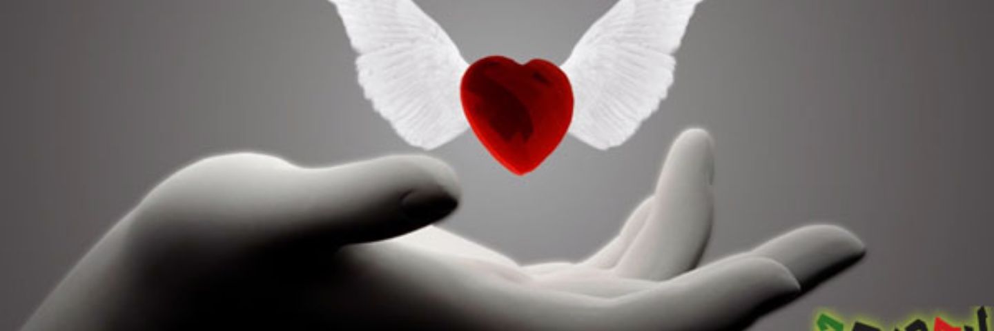 anaalsma22's profile banner image
