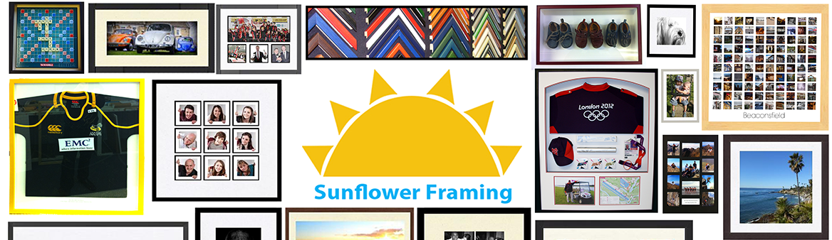 SunflowerFrame's profile banner image