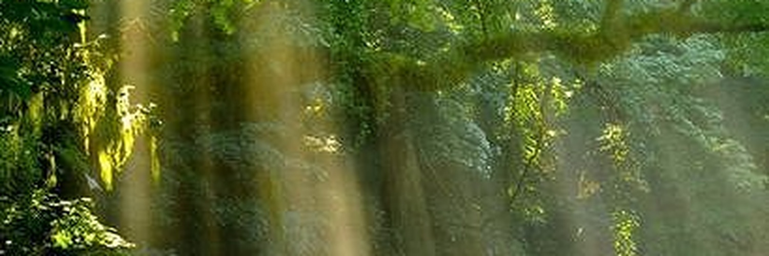 kee334's profile banner image