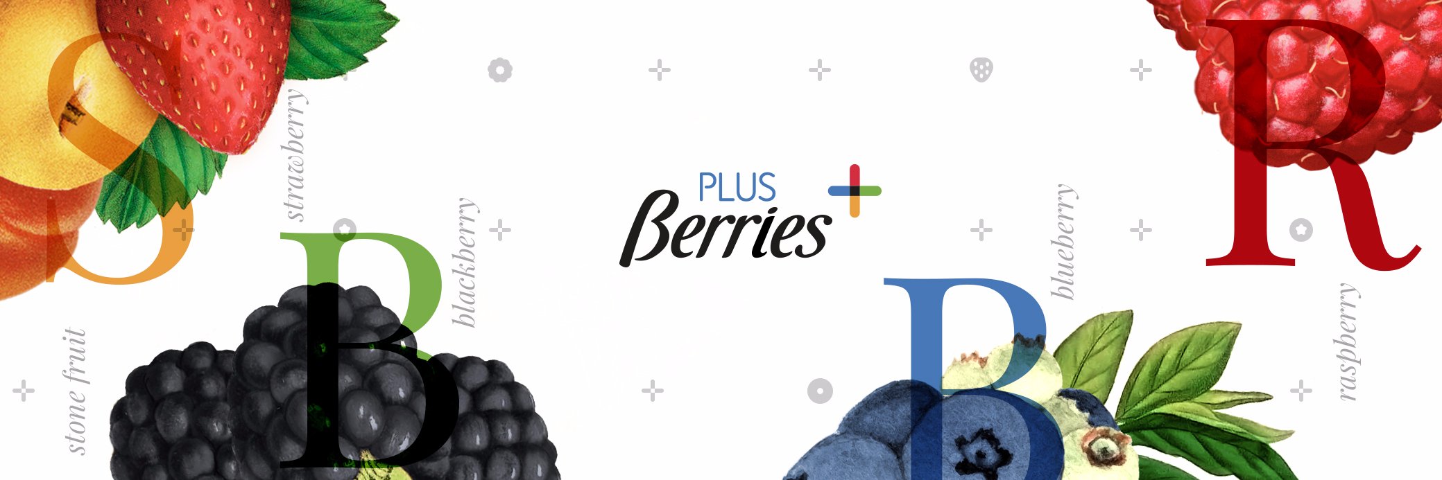 Plus Berries banner