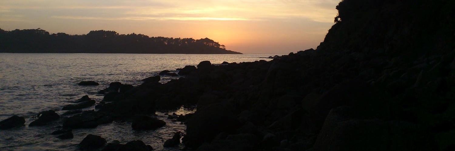 LeaTrottier's profile banner image