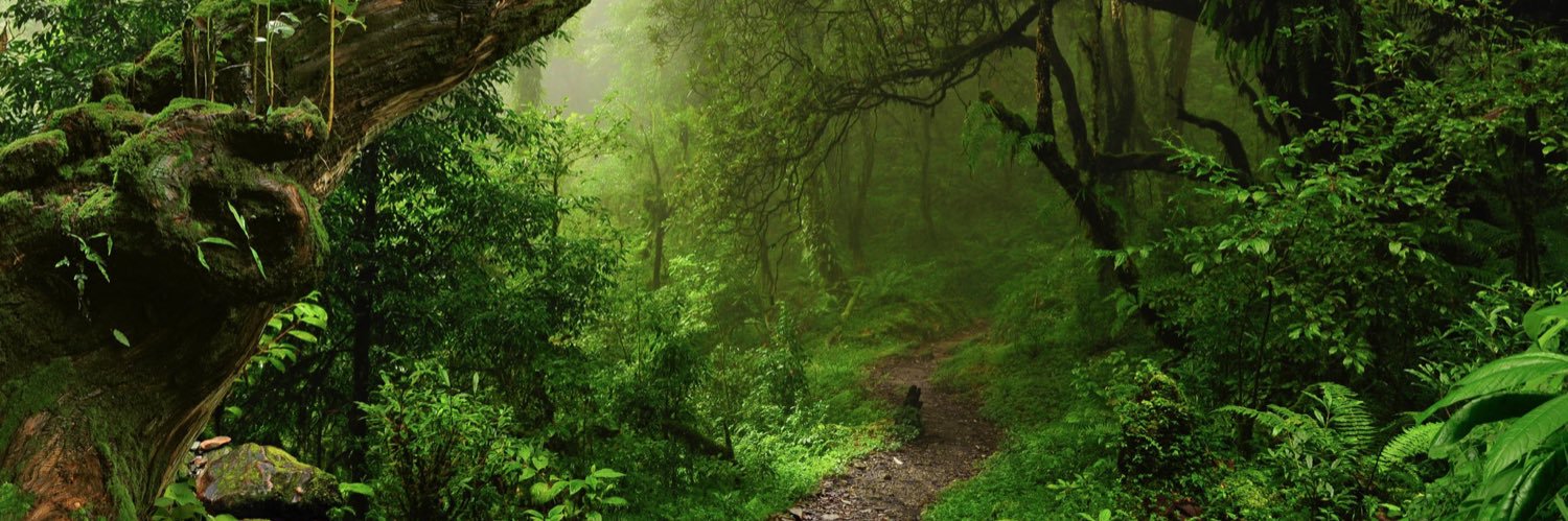 PatrickRossen's profile banner image