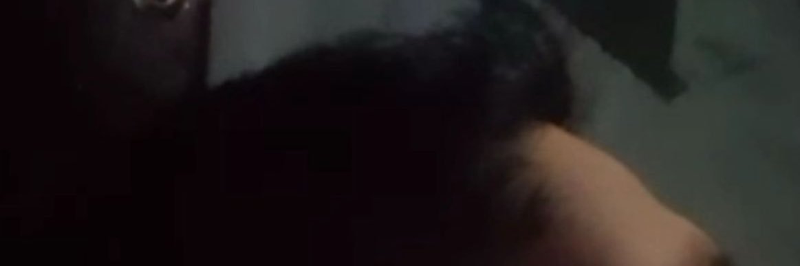 raventulips's profile banner image