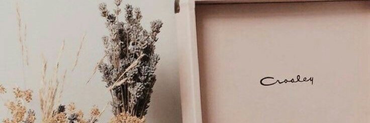 WinatriAgustin's profile banner image