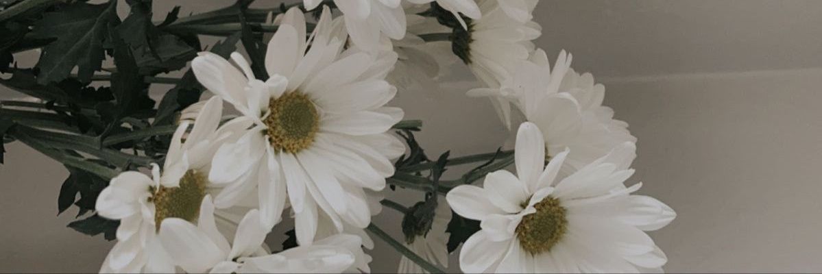 ℓα 🌼 banner