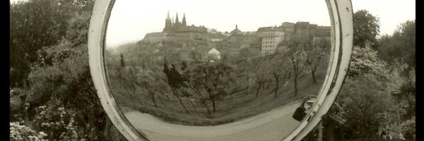 MurielBlaivePhD Profile Banner