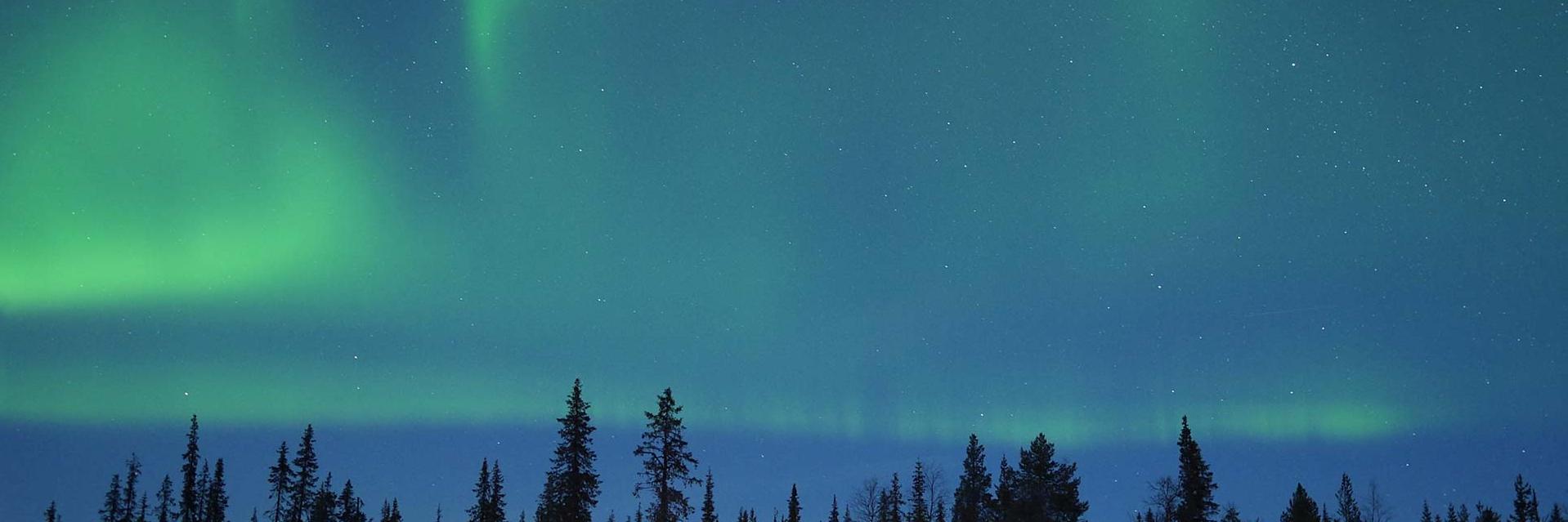 erikssonss's profile banner image
