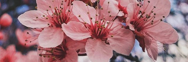 امتنـــان 💎 banner