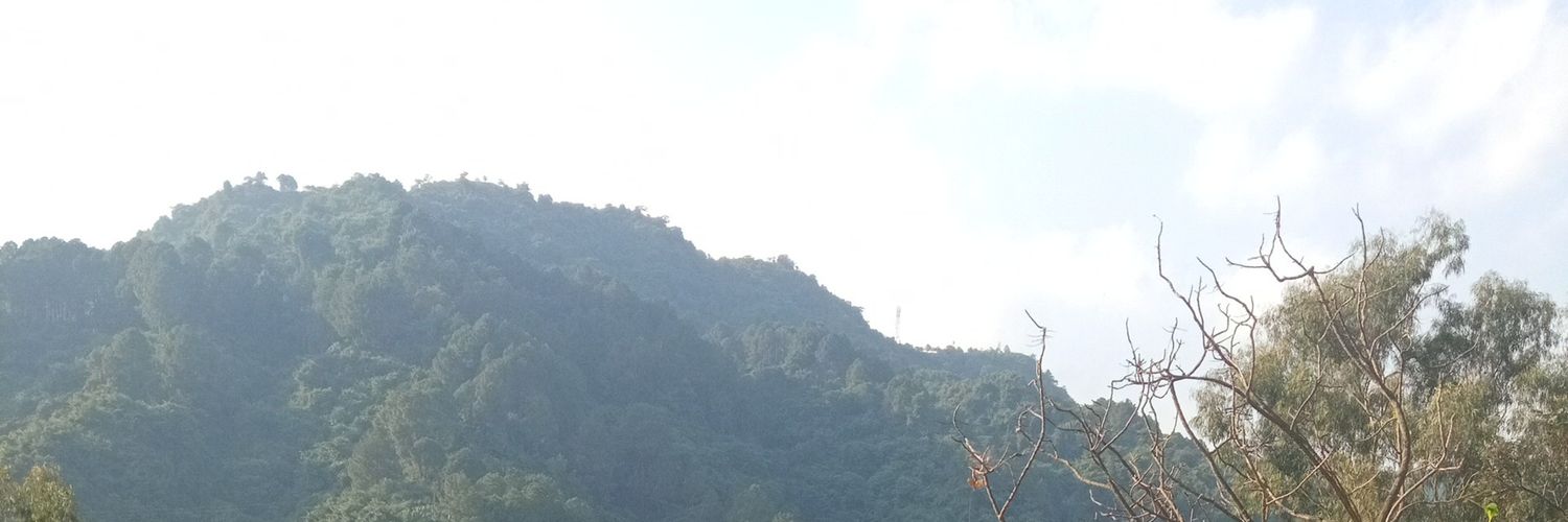 Dipender Manta banner