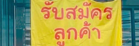 dorubie 🍀 banner