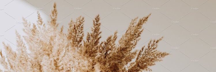Lintrop's profile banner image