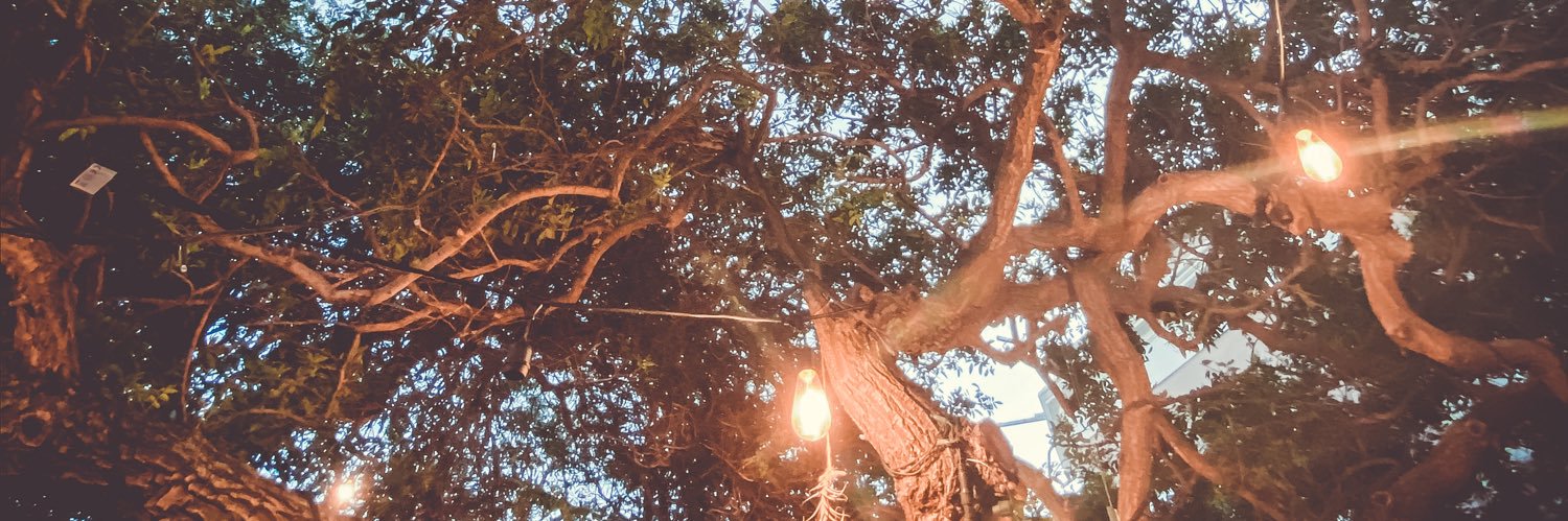 Candice du Toit banner