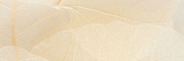 inivaavaa Profile Banner