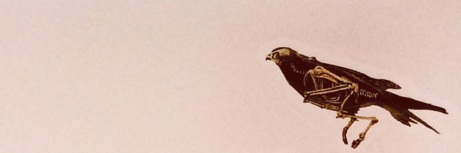 𝔸𝕋𝕌⚡布穀兩日G44 banner