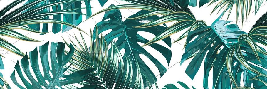 rachaelpreddy's profile banner image