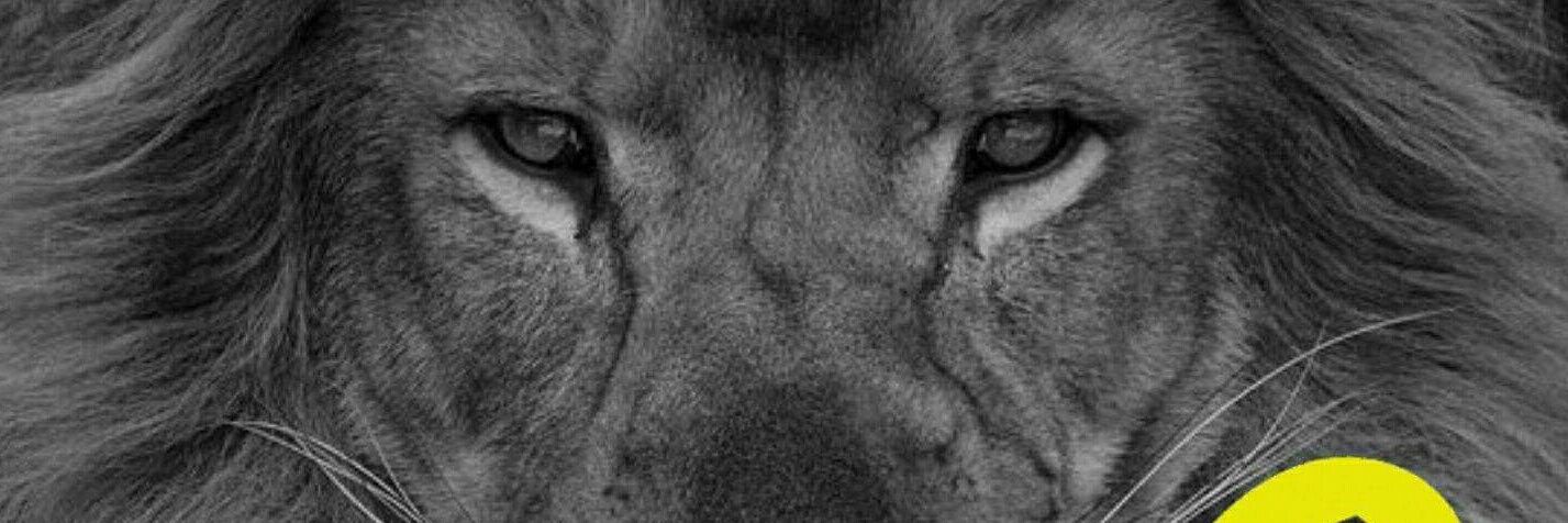 ncbbcn's profile banner image
