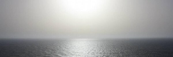 Teresasavall Profile Banner