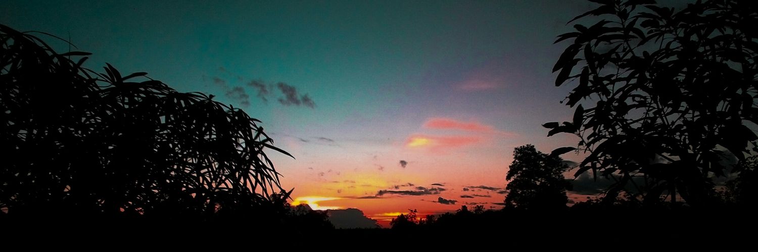 treeandene's profile banner image