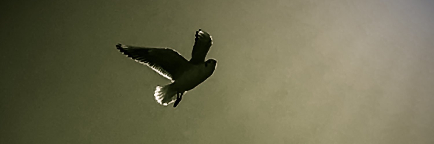 tomatomix_'s profile banner image