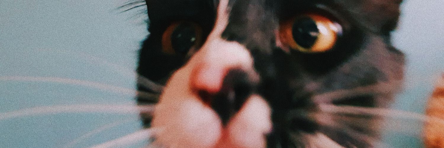 BenMathilda's profile banner image
