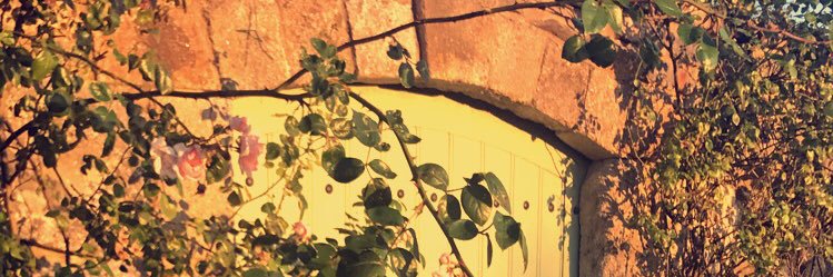 boylef1's profile banner image
