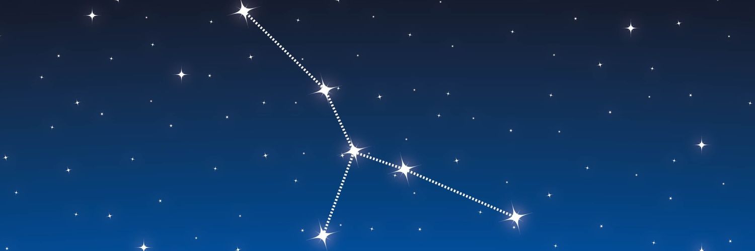 Evabernalposada's profile banner image