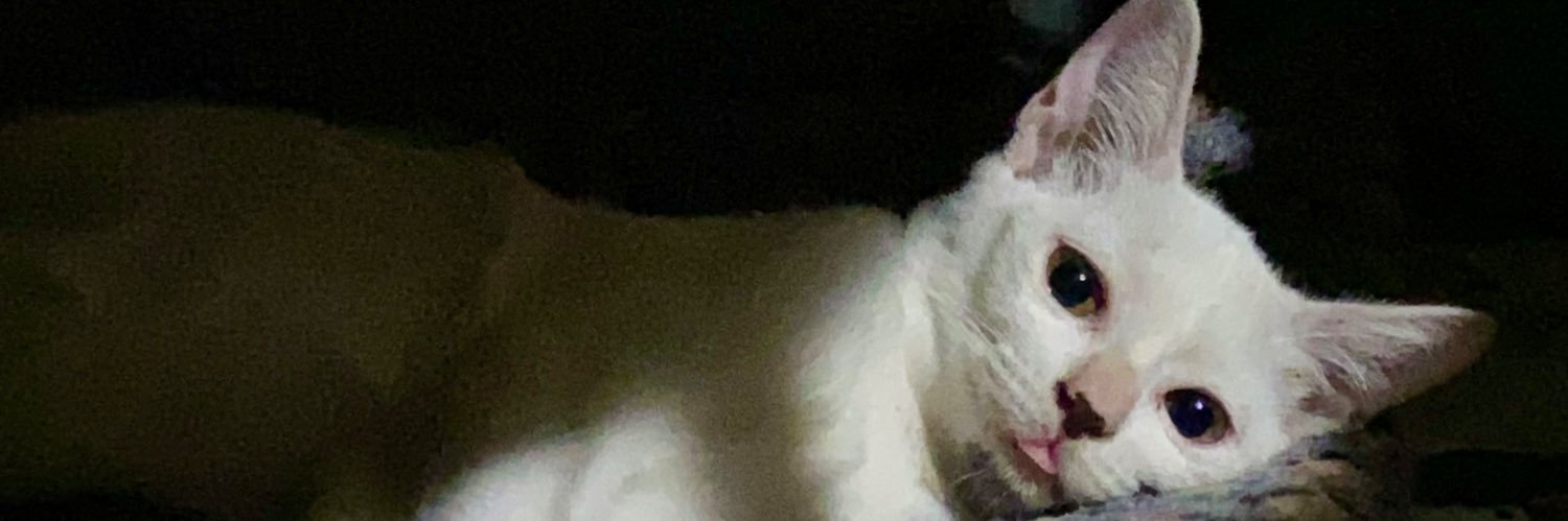 beulpinggg's profile banner image