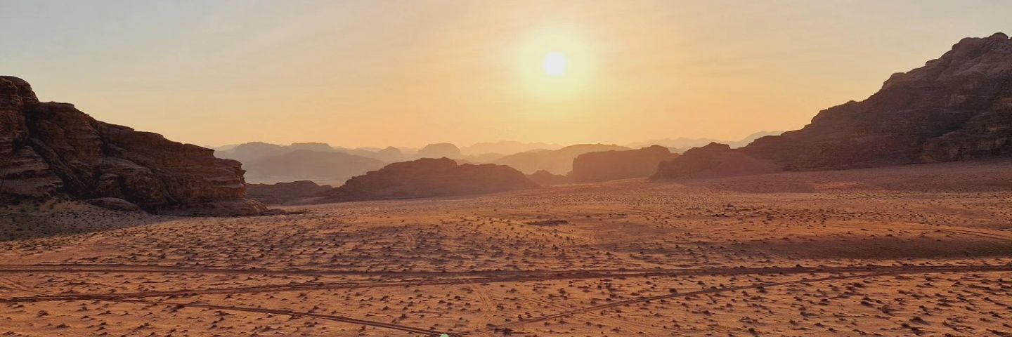 Franek Wojciechowicz banner