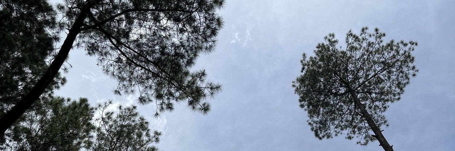 falseright's profile banner image