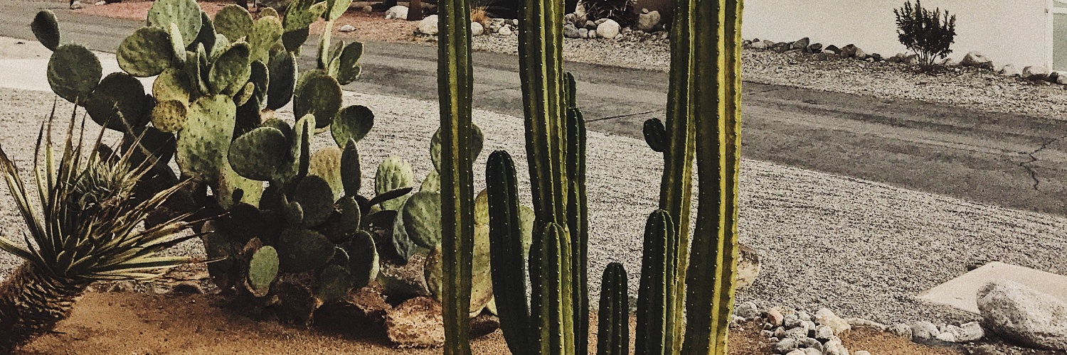 anniegracej's profile banner image